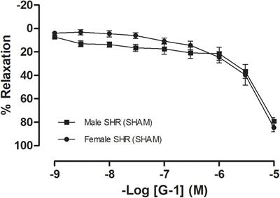 Sex Differences in the Vasodilation Mediated by G Protein-Coupled Estrogen Receptor (GPER) in Hypertensive Rats